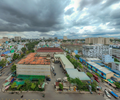 TP.HCM cưỡng chế thu hồi đất vàng liên quan đến Công ty Thành Bưởi 